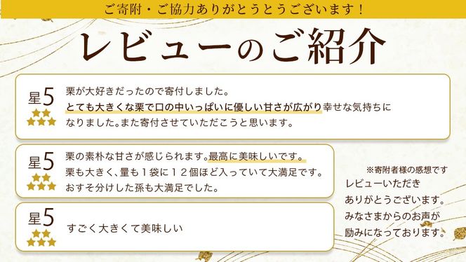 【 吉原農場 の 完熟栗 】 熟成 生むき栗 3袋・栗きんとん 1箱 セット 令和7年産 栗の深雫 完熟  むき栗 くり クリ 栗ごはん おかし お菓子 果物 フルーツ 数量限定 旬 秋 冬 正月 おせち [CX024ci]