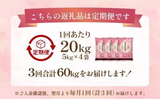 【1ヶ月毎3回定期便】 はるかおり 20kg 計60kg ／ 米 コメ お米 ライス ご飯 ごはん 飯 食品 精米 定期便 常温 福岡県 香春町