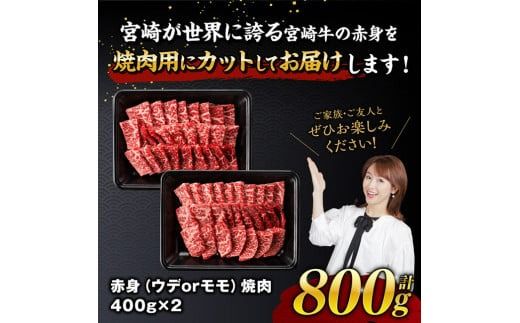 ※発送時期が選べる※宮崎牛赤身焼肉 800g (400g×2) 【 肉 牛肉 国産 宮崎県産 宮崎牛 黒毛和牛 和牛 焼肉 BBQ 4等級  A4ランク ウデ モモ 】 [E11120]