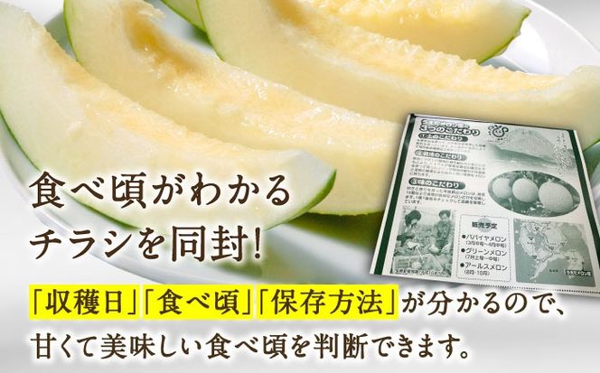 【2026年3月中旬〜発送】【平成新山メロンPREMIUM（とみちゃん厳選）】パパイヤメロン 3玉 / メロン めろん 果物 フルーツ / 南島原市 / うえだメロン園 [SAD001] 