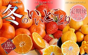 冬のいいとこどり定期便【全3回】 果物 詰合せ セット フルーツ 果物類 いちご 苺 イチゴ みかん 柑橘類 