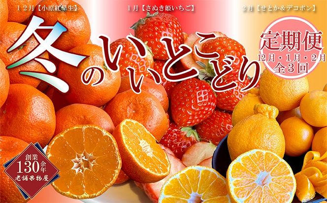 冬のいいとこどり定期便【全3回】 果物 詰合せ セット フルーツ 果物類 いちご 苺 イチゴ みかん 柑橘類 