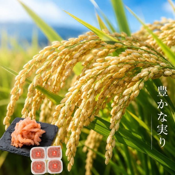 いか明太 140g×4 明太子 めんたいこ 加工品