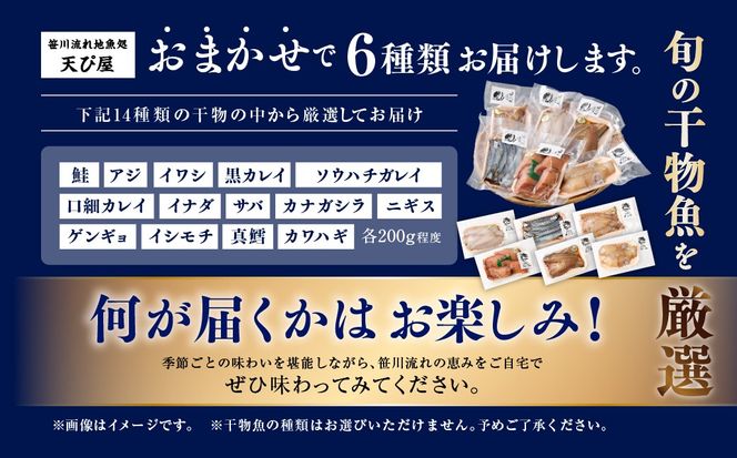 新潟県村上市笹川流れで水揚げ　旬の干物魚6点セット（店長おまかせ）1057001