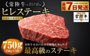 【常陸牛】ヒレステーキ250g×3枚（茨城県共通返礼品） | 750g A4ランク以上 お肉 牛肉 ヒレ肉 ヒレ フィレ 希少 冷凍 常陸 和牛 国産 茨城県 ステーキ 守谷市