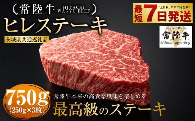 【常陸牛】ヒレステーキ250g×3枚（茨城県共通返礼品） | 750g A4ランク以上 お肉 牛肉 ヒレ肉 ヒレ フィレ 希少 冷凍 常陸 和牛 国産 茨城県 ステーキ 守谷市