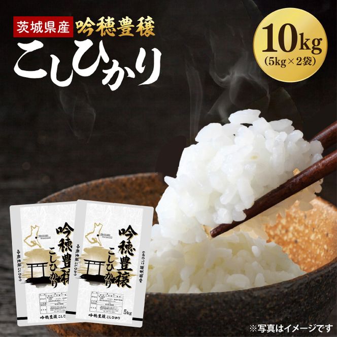 ＜令和8年産 ＞新米 吟穂豊穣こしひかり 10kg(5kg×2袋)精米 コシヒカリ こしひかり 米 ごはん コメ お米 白米 国産 茨城県産
