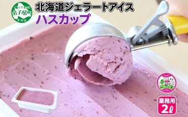 607.アイスクリーム ハスカップ ジェラート 業務用 2リットル 2L アイス 大容量  手作り 北海道 弟子屈町