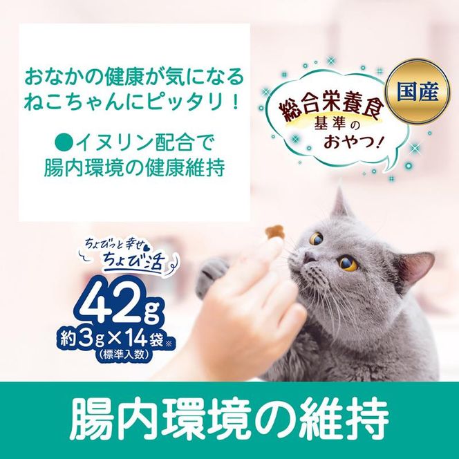 コンボ プレゼント キャット おやつ 腸内環境の維持 42g ケース販売 ペットフード 猫 ネコ ねこ キャット ペット 静岡 袋井市