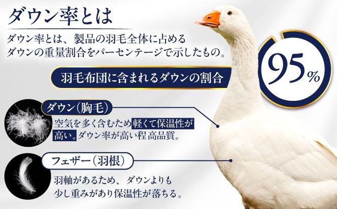 【糸島羽毛ふとん】【ダブル】 羽毛 布団 本掛け 2層式 ポーランド産 グースダウン95％ 糸島市 / 株式会社三樹 / 布団 羽毛[AYM030]