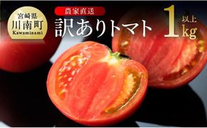 【訳あり】宮崎県産とまと 川南町産トマト１ｋｇ（９～１８個） 【 宮崎県産 九州産 川南町産 トマト とまと 野菜 ヘルシー 訳あり わけあり 】 [E6602]