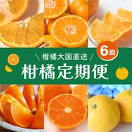 【定期便】えひめかんきつ定期便 全6回 ＜みかん 柑橘 フルーツ 定期便 国産 愛媛県 ＞ ※2026年11月～発送
