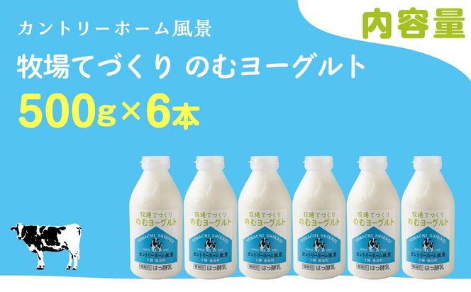のむヨーグルト 500g ×6 SKB047