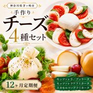 12ヶ月定期便 チーズ 4種 詰め合わせ 各1個 Osteria e Bottega S モッツァレラ ブラッターチーズ スカモルツァアフミカータ 神奈川県 茅ケ崎市 加工食品 乳製品 牛乳 手作業 ミルク 銀賞 幻のチーズ スモーク 塩漬け 美味しい  おつまみ ピザ 
