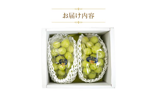 【天満屋選定品】岡山県産 シャインマスカット 晴王 約1.0kg（2026年発送）
