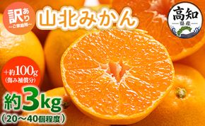 みかん 山北みかん わけあり 3kg 約20～40個入り 甘い - 果物 フルーツ 柑橘類 温州みかん ミカン 蜜柑 訳アリ わけあり 生産者応援 甘い yk-0063