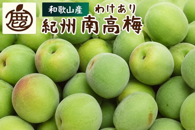 青梅 家庭用 南高梅 5kg+250g（痛み補償分） / 梅 梅ジュース 梅酒 梅干し 高級 和歌山 ※5月中旬～6月下旬頃に発送予定 ※北海道・沖縄・離島への配送不可 【ikd508-c-5H】