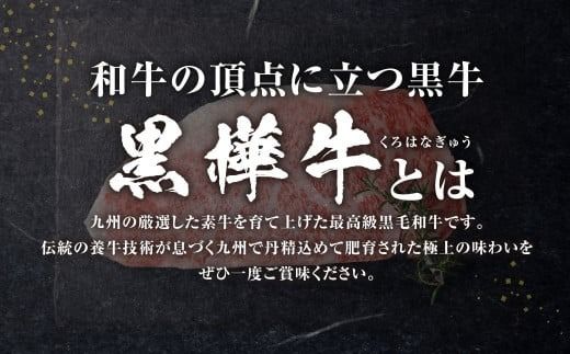 黒樺牛 肉厚サーロインステーキ 約300g お肉 肉 牛肉 ブランド黒毛和牛 和牛 黒毛和牛 ブランド牛 サーロイン ステーキ ロースステーキ 冷凍 国産 九州産 冷凍