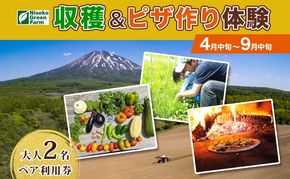 【2026年】北海道 オーガニック 野菜収穫＆ピザ作り 体験 2名様分 ペア チケット 体験型 ツアー 夏休み 野菜 有機野菜 ピザ ハウス 収穫 新鮮 ニセコグリーンファーム 送料無料 体験チケット 