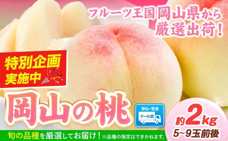 岡山の桃 2kg 5〜9玉前後[1-5営業日以内に出荷(土日祝除く)]ご家庭用 訳あり スイーツ フルーツ 果物 デザート 旬 岡山県 矢掛町 桃 モモ もも 先行 予約 送料無料---yakage_loc_23_h---