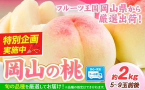 岡山の桃 2kg 5～9玉前後《1－5営業日以内に出荷（土日祝除く）》ご家庭用 訳あり スイーツ フルーツ 果物 デザート 旬 岡山県 矢掛町 桃 モモ もも 先行 予約 送料無料---yakage_loc_23_h---