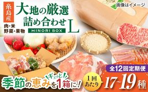 【全12回定期便】糸島産 肉 米 野菜 果物 厳選詰め合わせ MINORI BOX Lサイズ 糸島市 / emma.Inc / 米 肉 野菜 果物 詰め合わせ[AOP018]