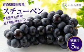 【園主厳選・ご家庭用】奇跡のぶどう スチューベン 5kg 最高糖度22度超！ わかな農園