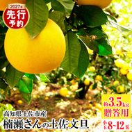 【先行予約】楠瀬さんの土佐文旦 贈答用小玉 約3.5kg 期間限定 高知 土佐 文旦 ぶんたん ブンタン 柑橘 みかん 果物 3.5キロ Lサイズ 8～12玉 フルーツ 旬【まる庄果樹園】〈2027年2月15日～2027年4月5日発送〉 [BQAF023]