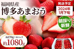 【先行受付】農家直送 朝採り新鮮いちご【博多あまおう】＜1月下旬より順次発送＞ 約270g×4パック 福岡県産 苺 イチゴ 朝採れ 冷蔵 スイーツ ジュース ギフト プレゼント お土産 九州 福岡土産 ※北海道・沖縄・離島は配送不可