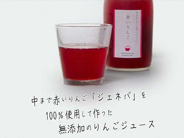 風丸農場　赤いりんごのジュース　無添加 青森県産　720ml×2本セット 飲料類 果汁飲料 