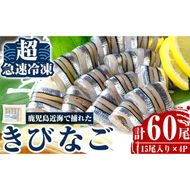 a1041 捕れたてキビナゴのお刺身(15尾入り×4P)【海鮮七海】姶良市 国産 きびなご キビナゴ 刺身 さしみ 刺し身 冷凍