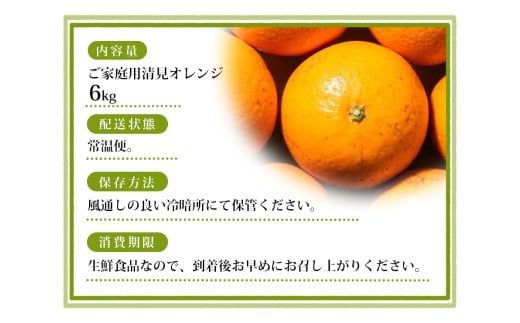 【ご家庭用】手選別 清見オレンジ 約6kg 和歌山県産 2S~2Lサイズ混合※2026年2月上旬～5月中旬頃に順次発送【mrmt038A】