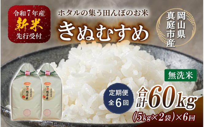 ＜定期便 全6回＞ 令和7年産 真庭市産きぬむすめ 無洗米10kg (5kg×2袋) ×6回 / お米 国産 岡山県 米 人気 ブランド 2025年産 【tkns-tkb023-cho】