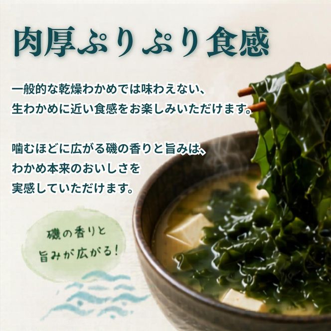 【2027年先行予約3月発送】塩蔵わかめ 計1.4kg 18袋 1袋80g チャック袋入 お味噌汁 和物 ごはん 丼 サラダ 海藻 料理 愛知県 南知多町 ワカメ わかめ 海藻類 おすすめ おいしいワカメ お米 に合う 米 に合う コメ に合う 水産 海の恵 塩蔵ワカメ 酢の物 水産加工 おこめ に合う 味噌汁 知多半島 大人気 南知多産わかめ 愛知県産ワカメ 南知多 南知多のわかめ 人気わかめ