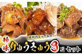 大将のとっておき！「珍味りゅうきゅう3選セット」 魚 海鮮 簡単 りゅうきゅう 漬け丼 お茶漬け だし茶漬け 調味料 加工品 大分県 佐伯市 【GA004】【ポートラインサービス (有)】