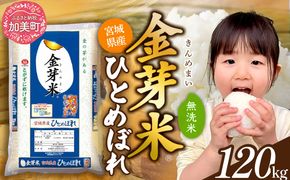 金芽米 無洗米 米 令和7年 宮城県産 特別栽培米 ひとめぼれ 120kg （ 5kg × 24袋 ） [ 宮城県 加美町 ]  km-my-knm120-r7