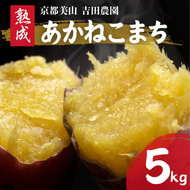 産地直送 さつまいも 5kg 熟成 あかねこまち 京都丹波産 【※予約商品26年12月より順次発送】