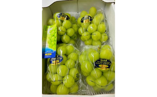 ぶどう 2026年 先行予約 シャインマスカット晴王 3～5房 (約2kg) ブドウ 葡萄 岡山県産 国産 フルーツ 果物 ギフト 