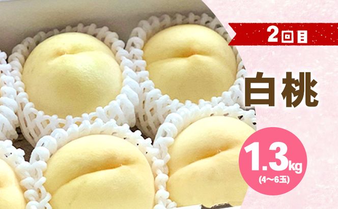 【2026年 先行予約】 ぶどう 桃 ぼっけぇうめぇ フルーツ 定期便 2回 コース ( マスカットオブアレキサンドリア ・ 白桃 )《2026年7月-9月出荷》 岡山県産 フルーツ 果物 数量限定 里庄町