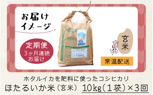 ほたるいか米（玄米10kg）×3回 計30kg【3ヶ月定期便】