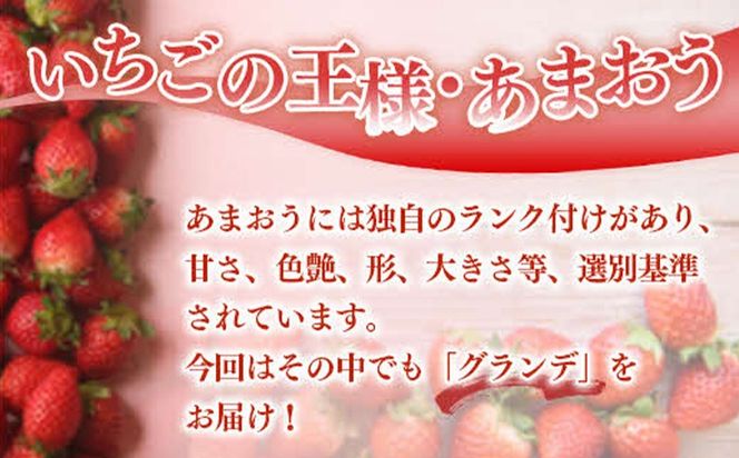 福岡県産 あまおう 500g （250g×2パック） いちご 1月中発送 いちご 苺 フルーツ 果物 くだもの 大粒Gサイズ グランデ 農家直送 大粒 不揃い 福岡県 福岡 九州 グルメ お取り寄せ