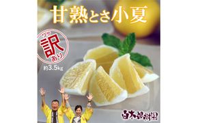【先行予約】甘熟とさ小夏 約3.5kg 2S～2L〈2027年4月上旬～2027年5月中旬頃発送〉  /  こなつ コナツ 果物 フルーツ 柑橘 かんきつ 宿毛小夏 すくも小夏 日向夏 ニューサマーオレンジ 爽やか 甘酸っぱい【白木果樹園】 [BQAI031]