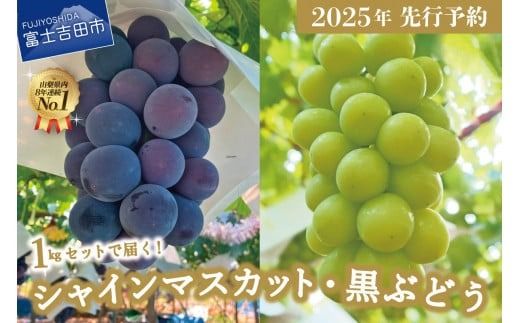 [2025年先行予約]ジューシー で 甘さ 抜群 池田青果 の 厳選 シャインマスカット と 黒ぶどう セット (約1kg) シャインマスカット 山梨県産 ぶどう 果物 フルーツ 旬 高級 山梨 富士吉田