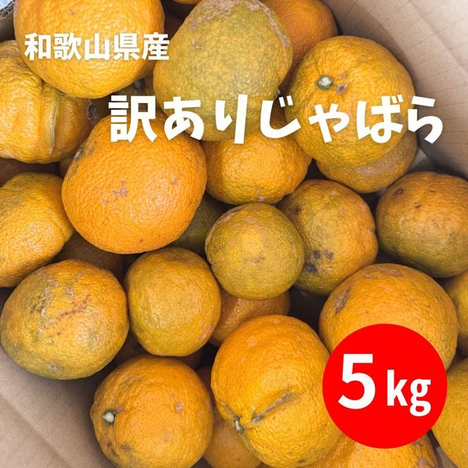 訳あり じゃばら 5kg (28～44玉) DJ059