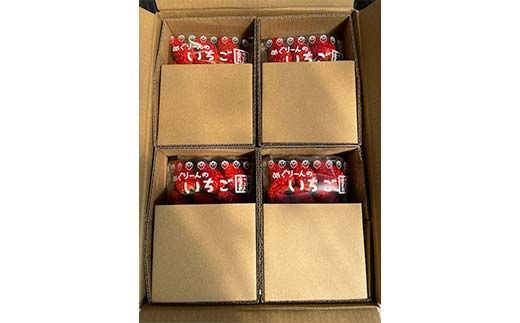 【数量限定】産地直送!！めぐりーんの完熟いちご（章姫） 4パック F4N-2735