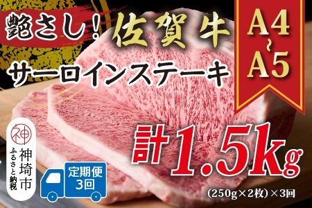 【3か月定期便】艶さし！【A4～A5】佐賀牛サーロインステーキ 500g(250g×2枚)×3回【肉 牛肉 ブランド牛 黒毛和牛 ステーキ肉 ふるさと納税】(H112193)