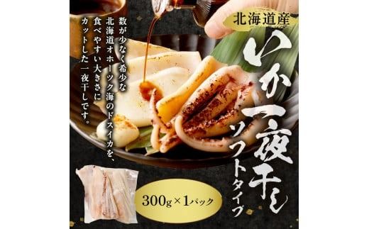 《14営業日以内に発送》北海道ならではの干物を3種類！北見一夜干しセット ( 海鮮 魚 干物 一夜干し セット 贈答 ギフト おつまみ )【035-0014】