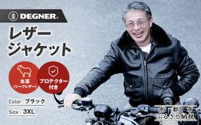 【デグナー】シープレザーフライトジャケット[25WJ-4] 3XLサイズ｜京都 バイクギア 人気ブランド ジャケット バイク［ ヴィンテージシリーズ 疲れにくい ワッペン 羊革 シープレザー プロテクター 安全性 柔らかい フィット感 ツーリング ライダー バイカー おしゃれ かっこいい 人気 おすすめ 送料無料 ふるさと納税 ］ 261009_A-JR191VC05