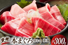 昭福丸の天然本まぐろ (中トロ･赤身) 各150g 計300g [臼福本店 宮城県 気仙沼市 20566155] 魚 鮮魚 刺身 トロ 天然本マグロ マグロ まぐろ 鮪 本まぐろ 本マグロ 本鮪 冷凍