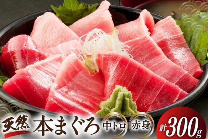 昭福丸の天然本まぐろ (中トロ･赤身) 各150g 計300g [臼福本店 宮城県 気仙沼市 20566155] 魚 鮮魚 刺身 トロ 天然本マグロ マグロ まぐろ 鮪 本まぐろ 本マグロ 本鮪 冷凍
